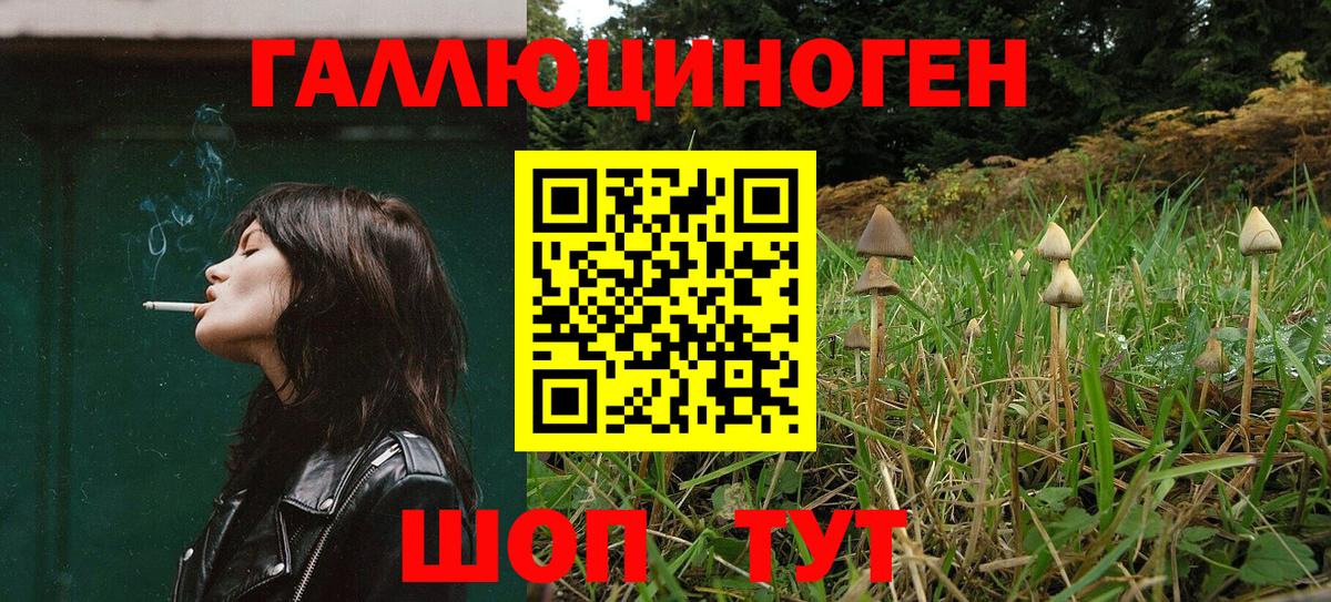 Псилоцибиновые грибы Magic Shrooms Рубцовск